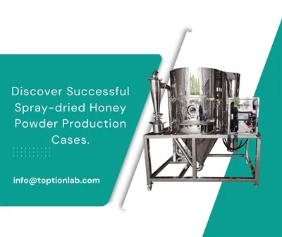 Spray Dried Honey Powder: Industrial Case Studies
